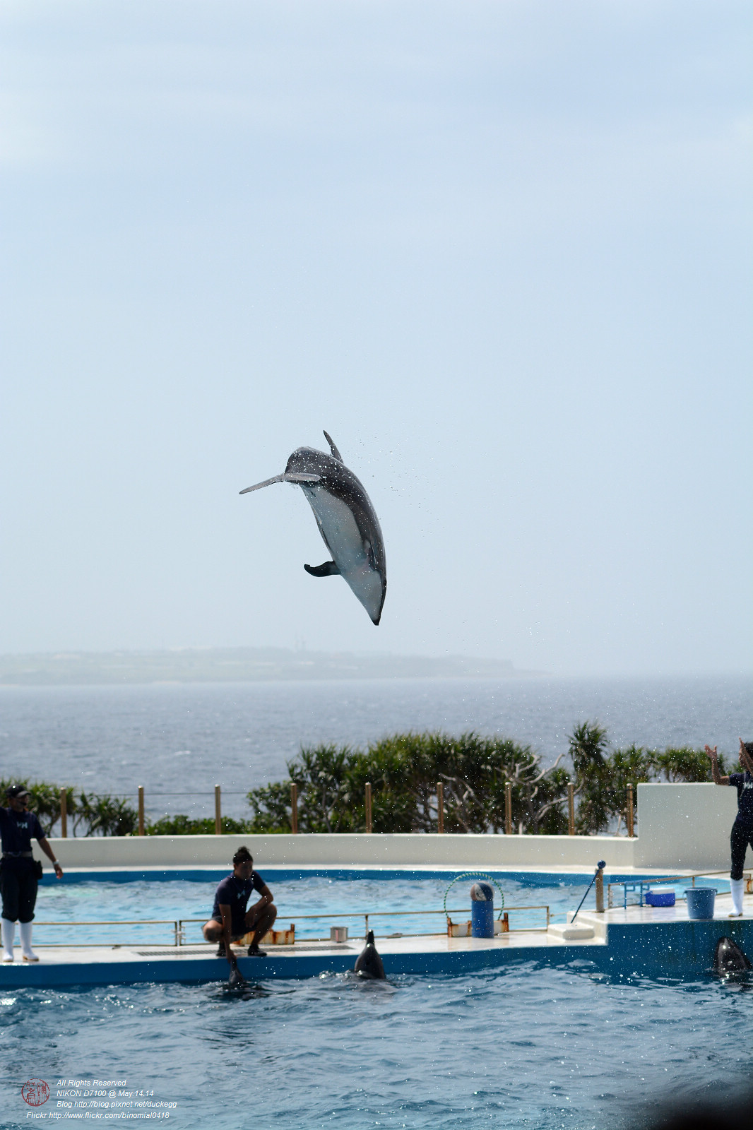 DSC_3078.jpg